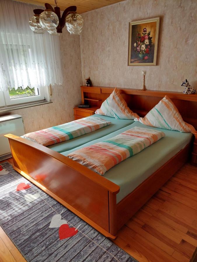 Urige Gemuetliche Ferienwohnung 64 M2 In Dielheim, Naehe Heidelberg מראה חיצוני תמונה
