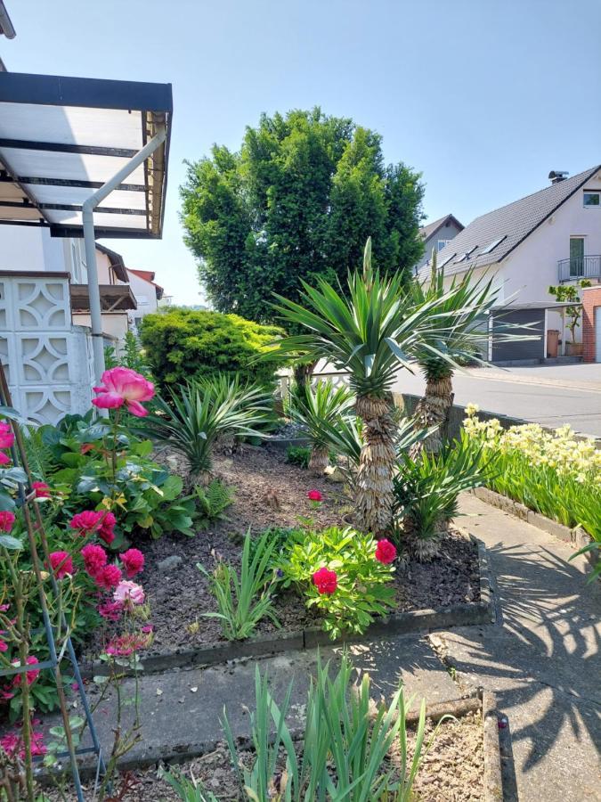 Urige Gemuetliche Ferienwohnung 64 M2 In Dielheim, Naehe Heidelberg מראה חיצוני תמונה